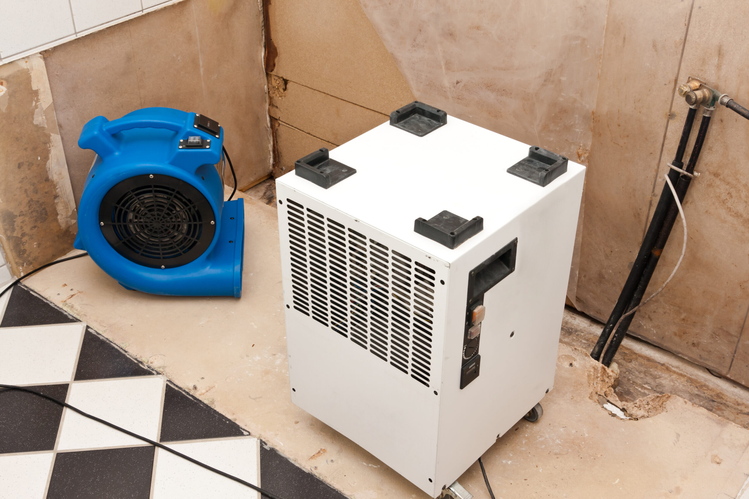 Elimination of water damage with fan and dryer